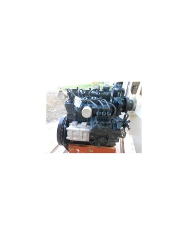 Motor usado revisado Kubota D662, 656 cc - 3 cil. - 19 CV - motor  adaptable con bomba de inyección,