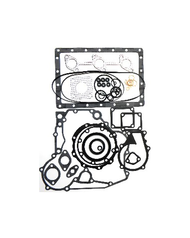 Juego juntas motor D1005