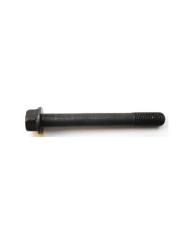 Tornillo culata /head bolt M12x98