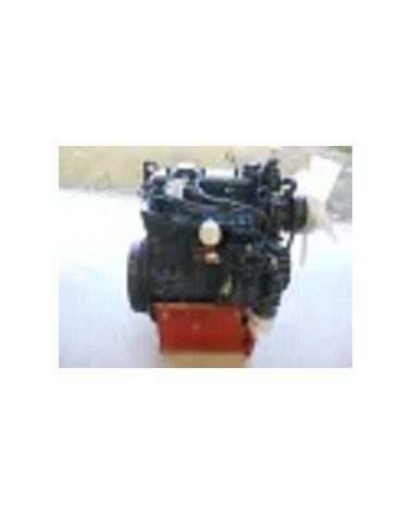 Motor Kubota D1005 usado revisado, 1000 cc - 3 cil. - 22 CV - con bomba inyeccion