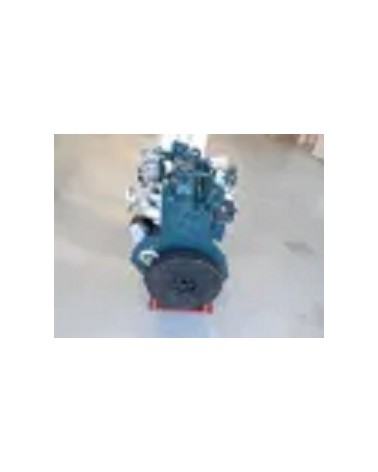 Motor Kubota D1005 usado revisado, 1000 cc - 3 cil. - 22 CV - con bomba inyeccion